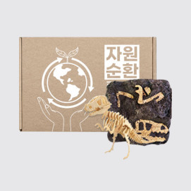 환경안전교육 키트 공룡뼈발굴