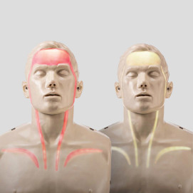 브레이든 CPR 혈행형 (PRO/IM13-K)