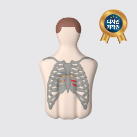 CPR 교육풍선 (심장이) 심폐소생술